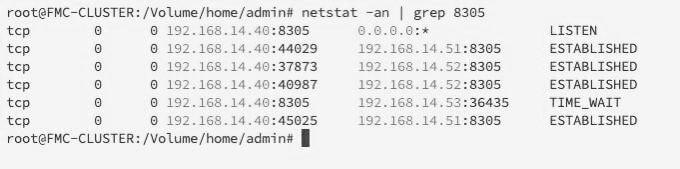 CLI 출력 Netstat 명령