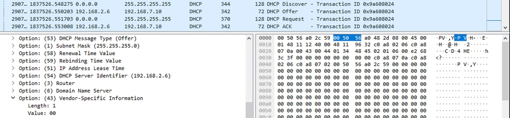 Client Side Working pcap