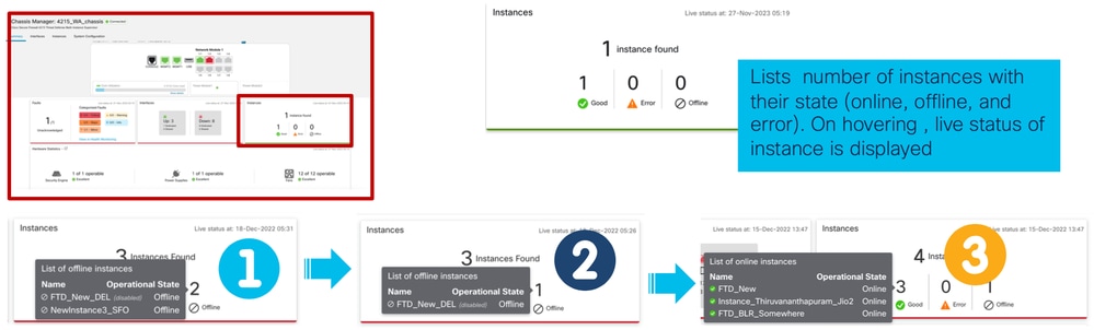 Instances Section