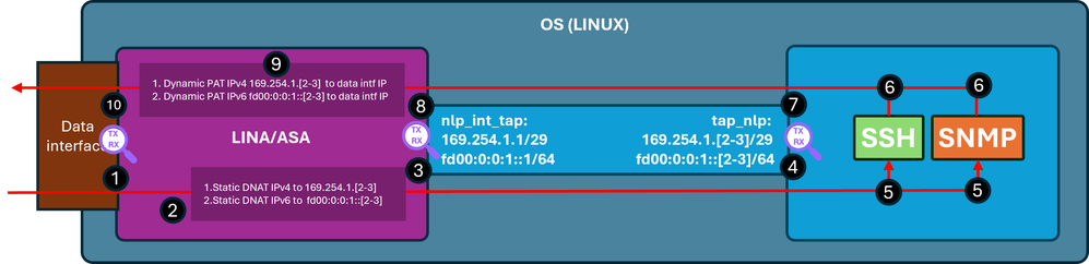 Diagram for the case with disabled management over data.