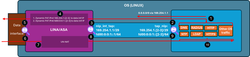 Diagram for the case with enabled management over data.
