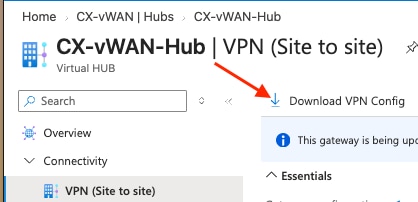 Download VPN Config