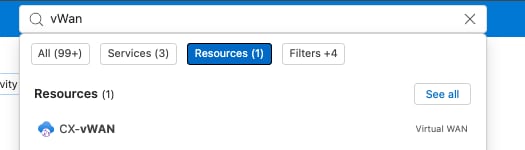 Search Query For Virtual WAN