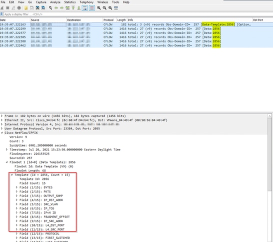 Plantilla de Netflow1