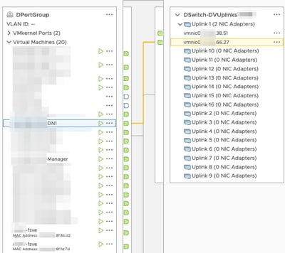 DportGroup DN1 eth0 interface