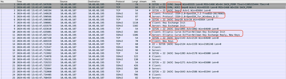 Image - Successful Connection Packet Capture