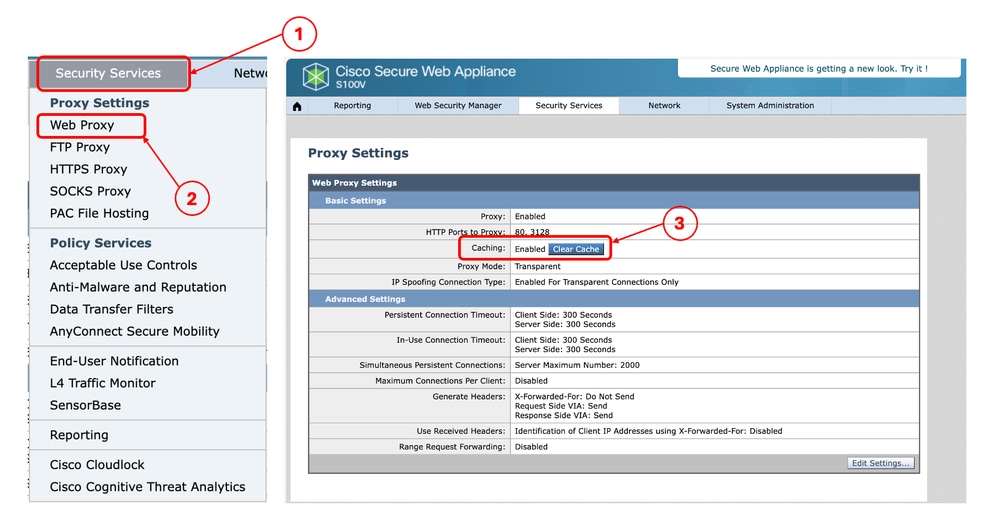 Imagem - Limpar cache do proxy