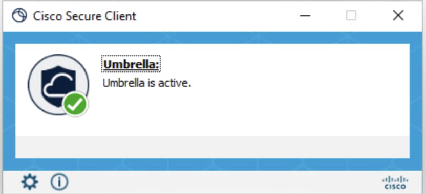 Cisco Secure Client Active Window