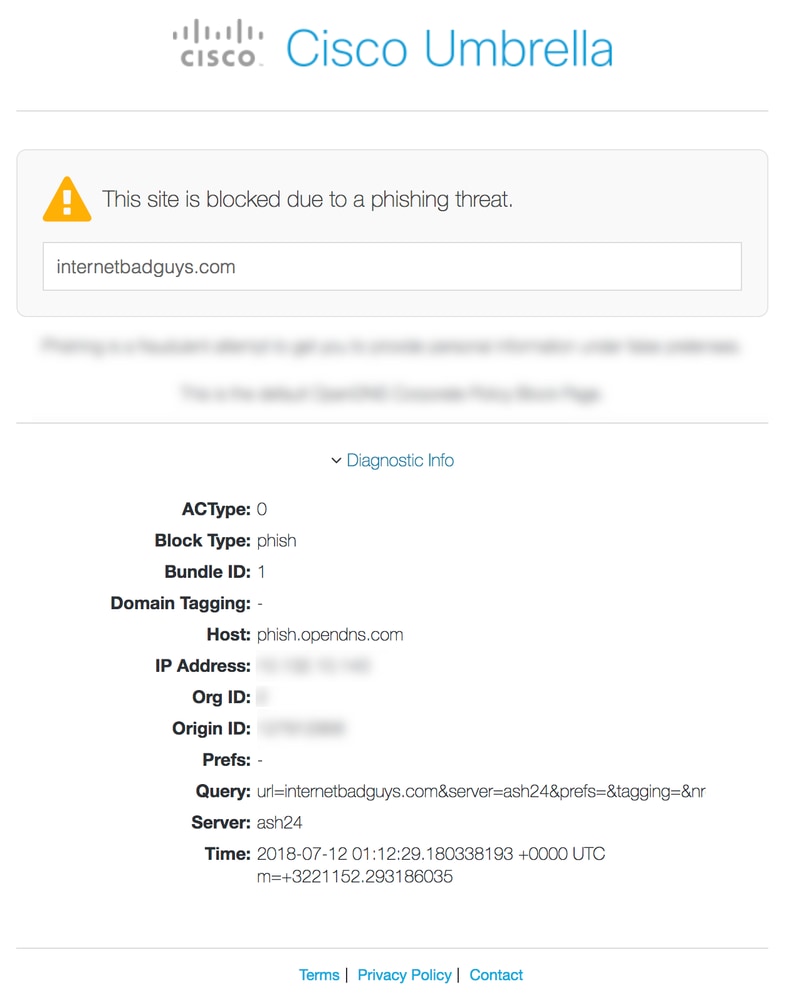 diagnostic-info.png