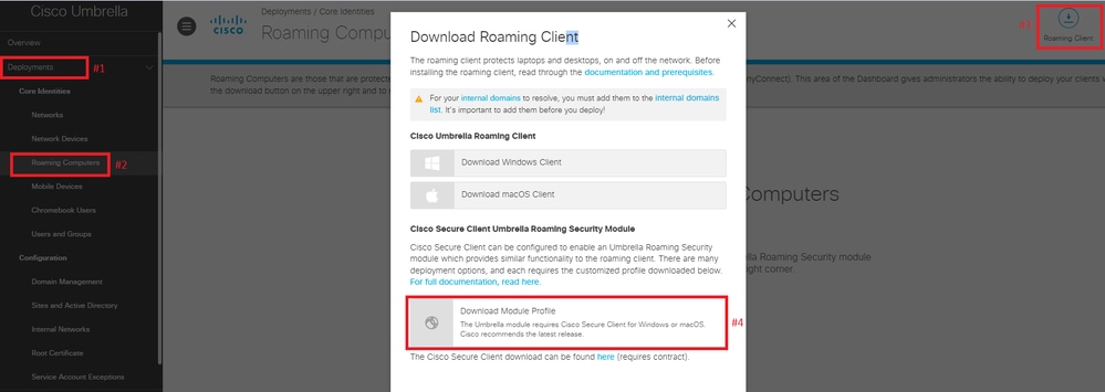 Download roaming client page