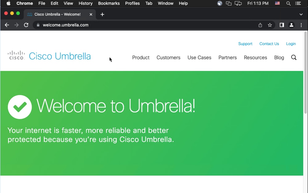 welcome to umbrella page