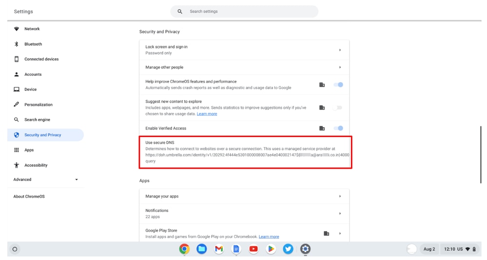 Capture and Export Troubleshooting Logs for Secure Client for Chromebook - use secure DNS