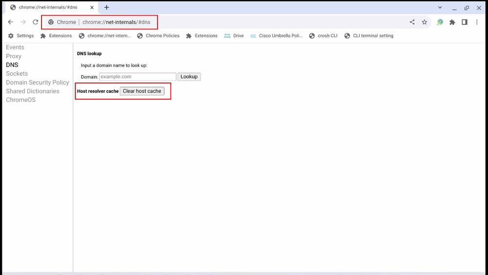 Capture and Export Troubleshooting Logs for Secure Client for Chromebook - Host Revolver Cache