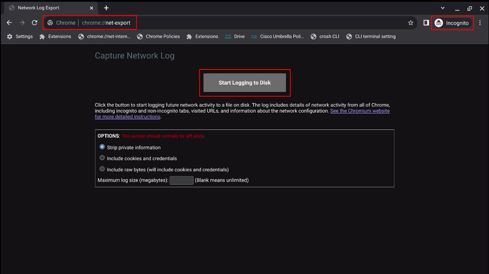 Capture and Export Troubleshooting Logs for Secure Client for Chromebook - Start Logging to Disk