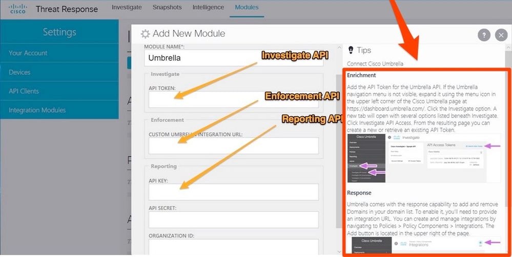 CTR Link to Umbrella