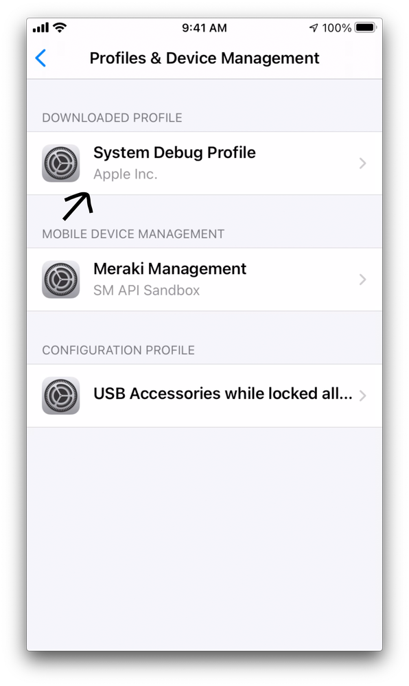 System Debug Profile