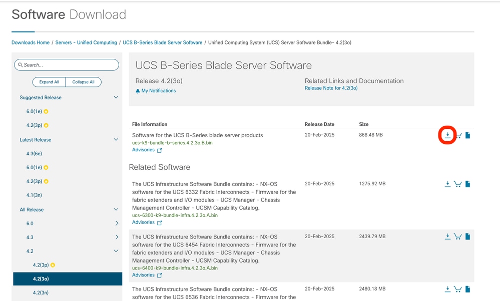 Select Firmware Version