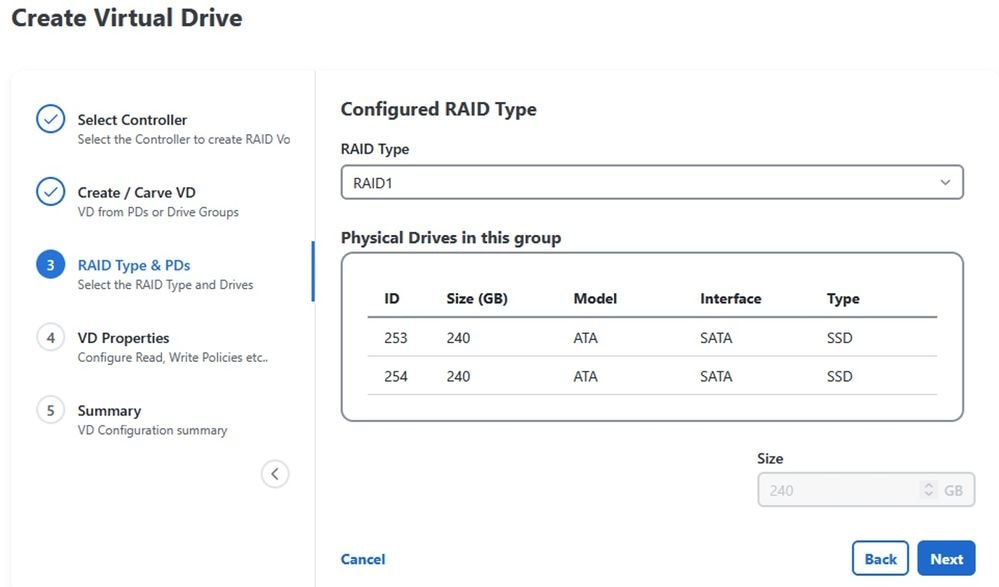RAID Type and PDs