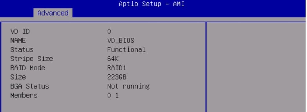 Verify VD through BIOS Advanced Settings