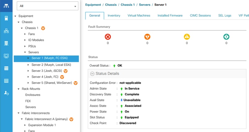 Healthy Server in UCSM