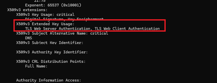 Web Server and Web Client Authorization Key in certificate requested