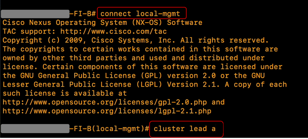 License CLI output
