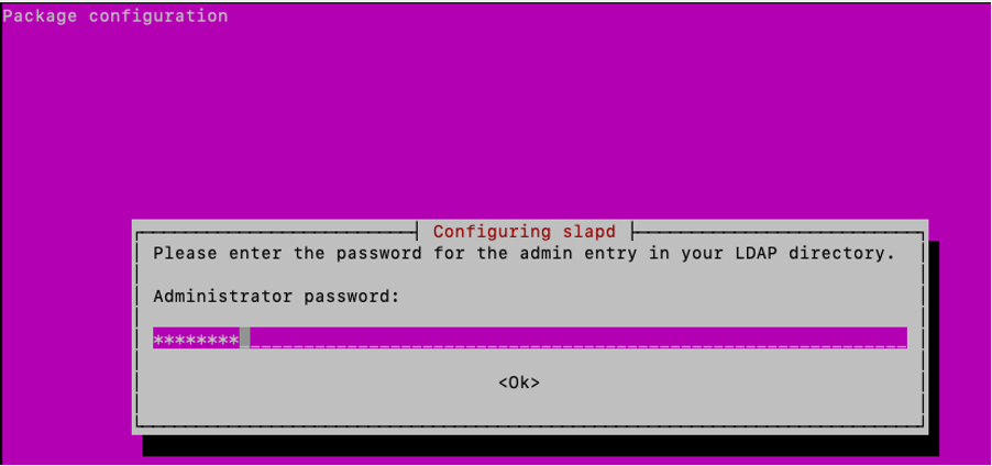 Enter the password for the admin entry
