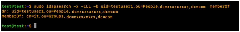 Test the local LDAP login is functional