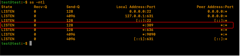 Validate that the LDAP service is running