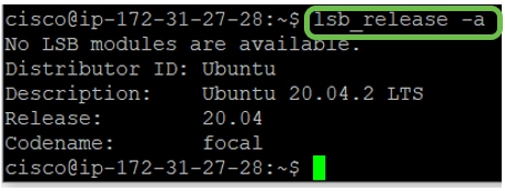 Access the CLI via a console or Secure Shell (SSH) connection and issue the command lsb_release -a. 