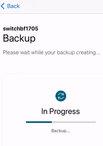The backup process will take a few minutes. 