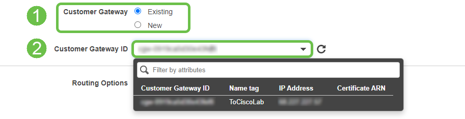 Customer Gateway is Highlighted in a green box with the option of Existing highlighted and outlined as step one. Customer Gateway is outlined as step two and depicts the customer gateway that was created in previous steps. 