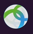Click on the AnyConnect Secure Mobility Client icon.