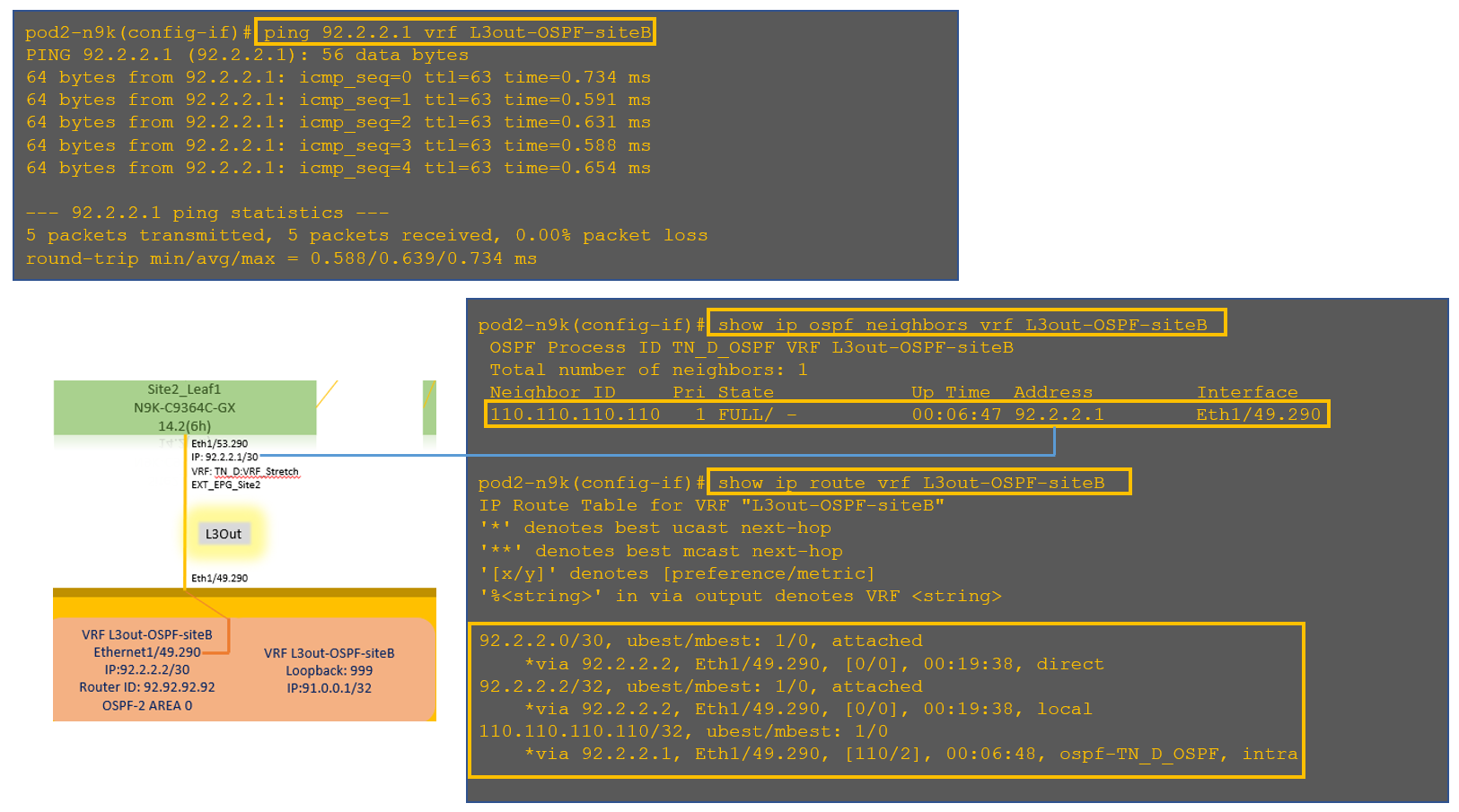 Configure Intersite L3out With ACI Multi-Site Fabrics - Check OSPF Neighborship is Nexus 9000