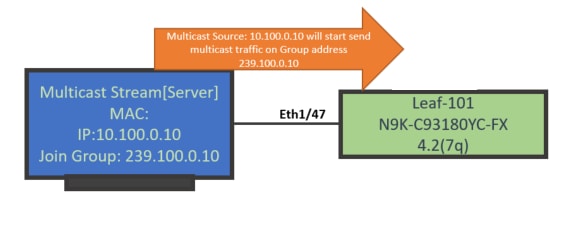 Cisco ACI - traffic direction from multicast server to leaf switch
