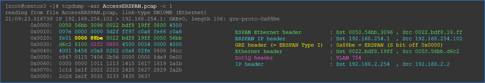 ERSPAN Type 1 Hex view