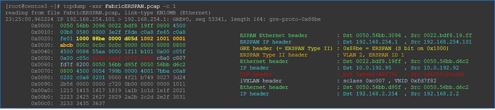 ERSPAN Type 2 Hex view