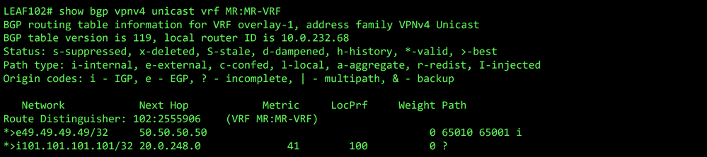 MP-BGP table for VRF MR:MR-VRF on LEAF102