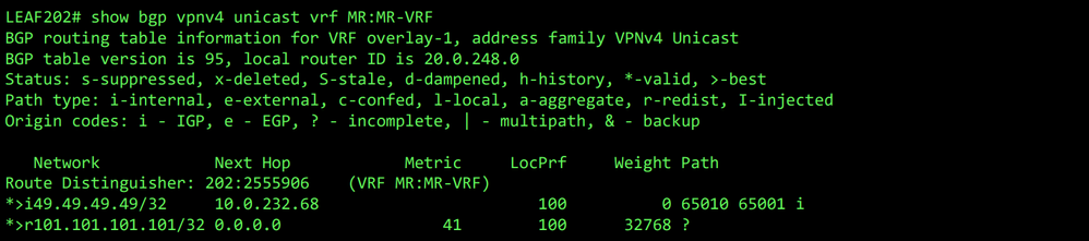 MP-BGP table for VRF MR:MR-VRF on LEAF202