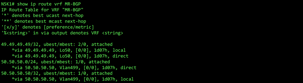 RIB for VRF MR-BGP on N5K1