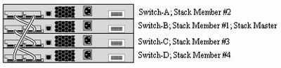 Switch-C and Switch-D Reload and Join New Stack
