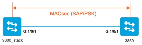 MACSEC With SAP image