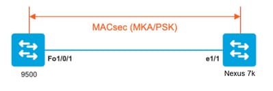MACsec with MKA Image