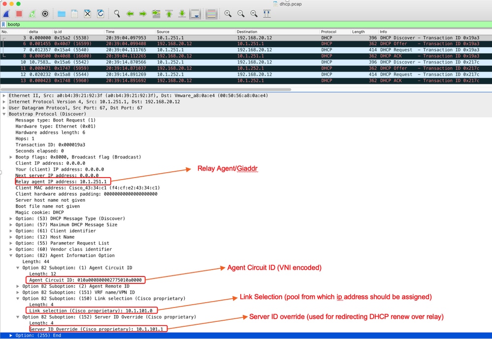 wireshark option 82 with comments