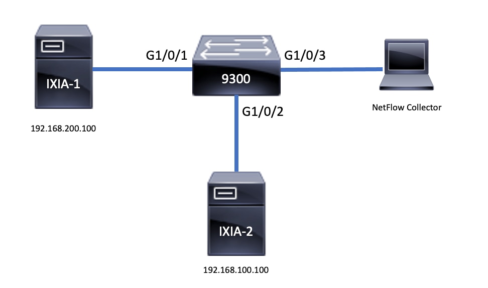 Cấu trúc liên kết AVC Trên Switch Cisco 9300