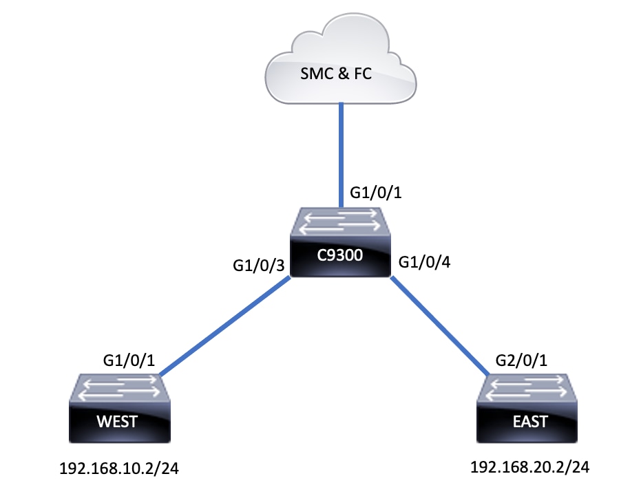 Cấu trúc liên kết ETA trên Switch Cisco C9300