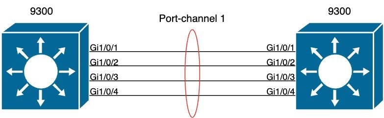 EtherChannel Topology