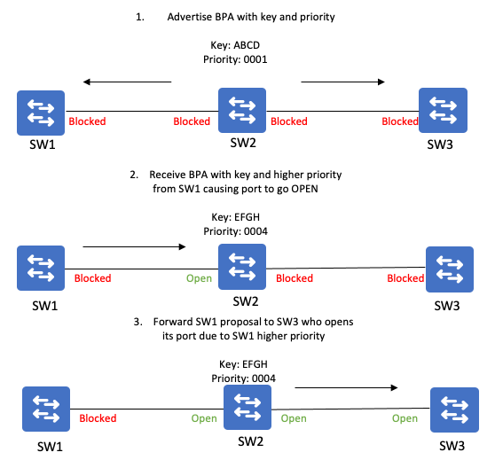 REP Topology 01