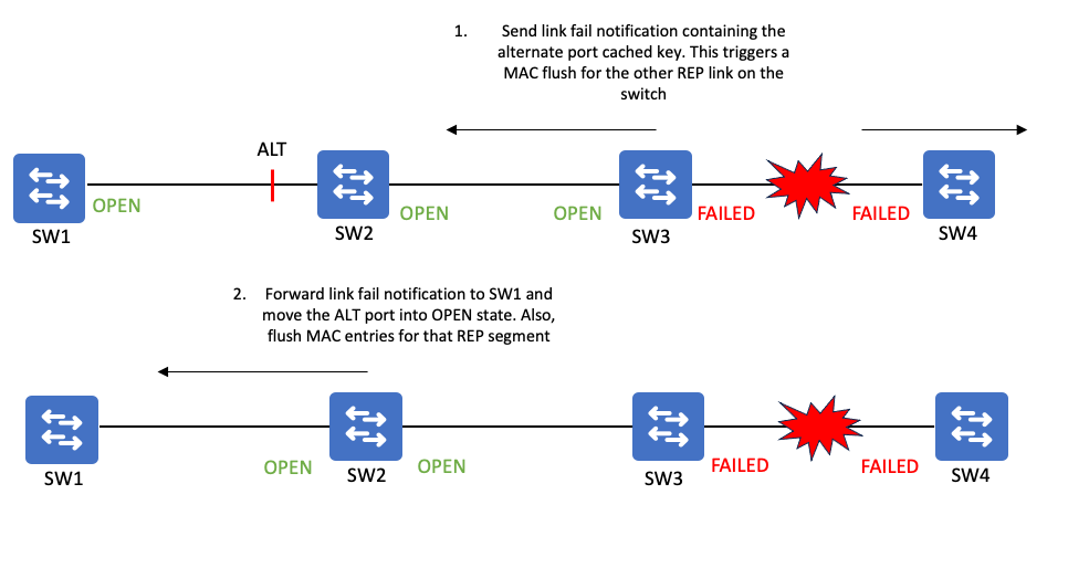 REP Topology 02