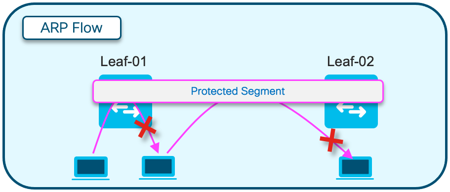 Protected Segment ARP flow